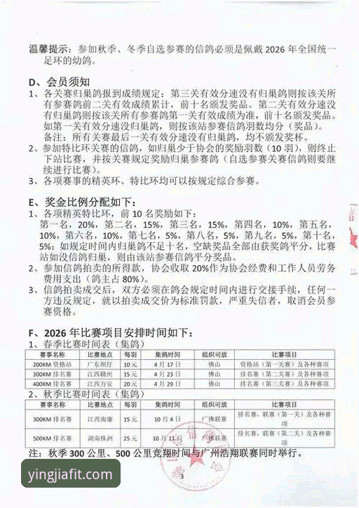 盈嘉体育体育赛事安装失败完整解决指南：从诊断到修复的专家方案